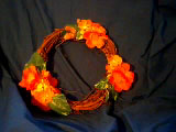 Begonias